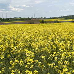 22-05-02 16-09-35 0740